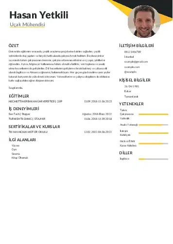 Havacılık Ve Uzay Uçak Mühendisi Cv Örnekleri cv indir